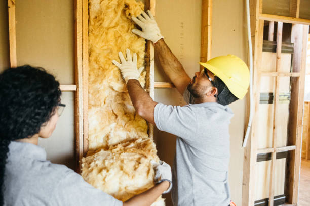 Best Insulation for New Construction  in Maybrook, NY